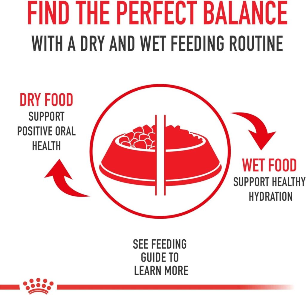 Royal Canin Beauty Dog Food Feeding Guidelines Royal Canin Beauty Dog Food Feeding Guidelines