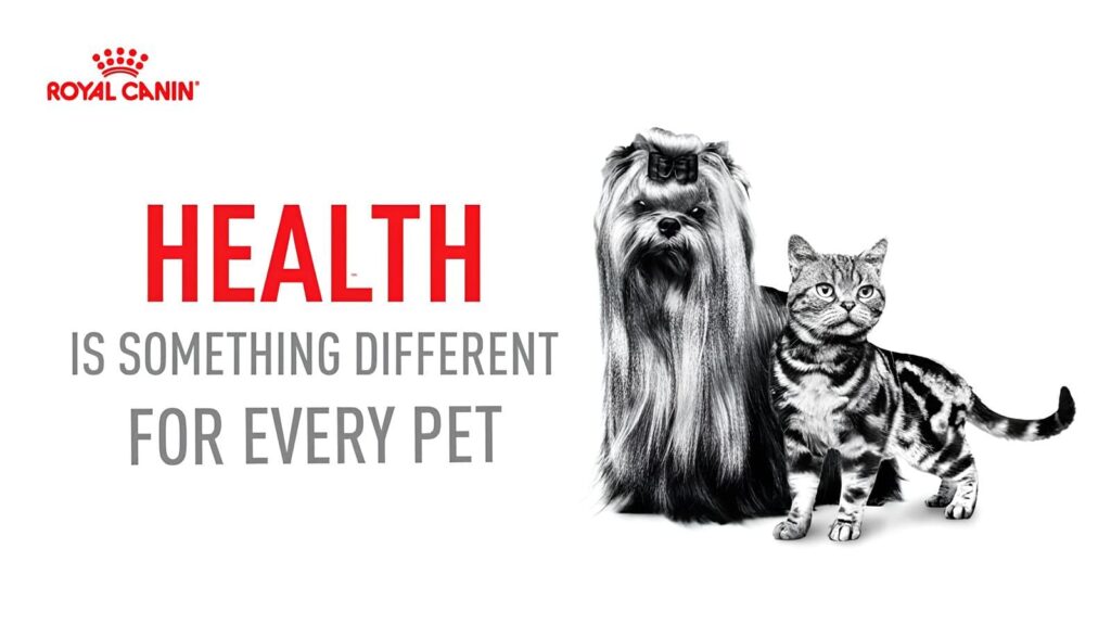 Royal Canin Beauty Dog Food Health Royal Canin Beauty Dog Food Health