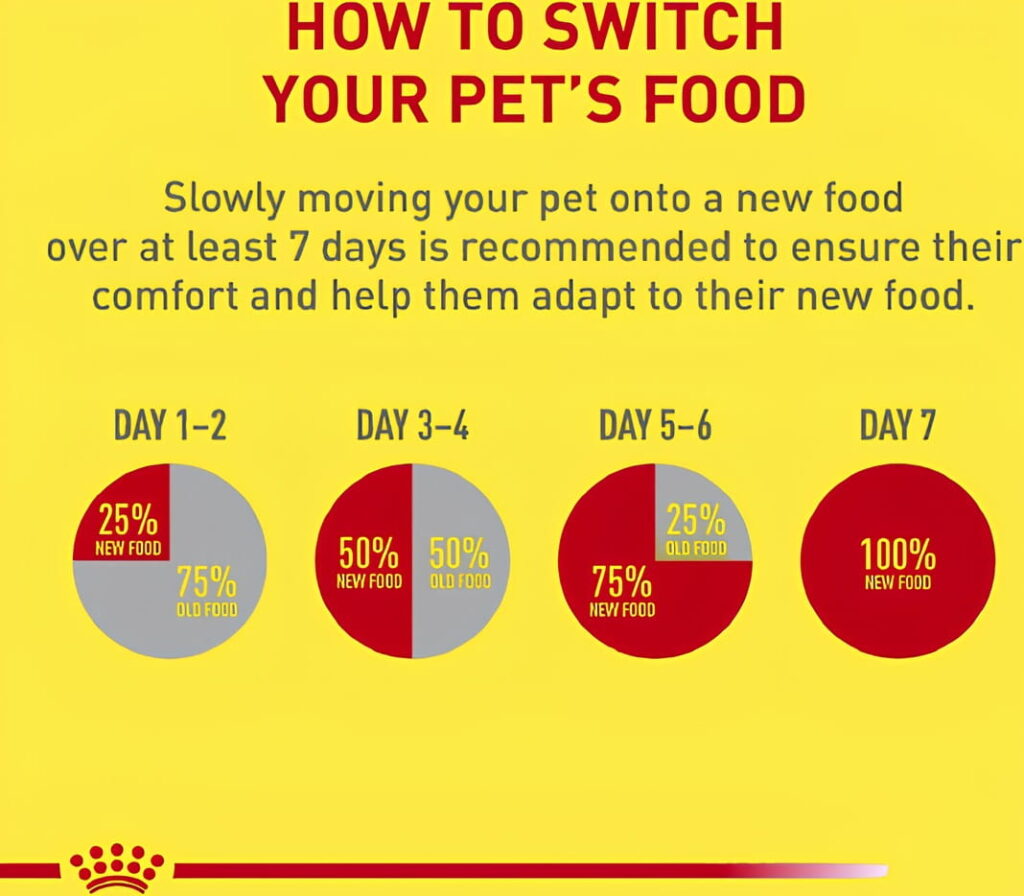 Royal Canin Beauty Dog Food Transition Tips Royal Canin Beauty Dog Food Transition Tips