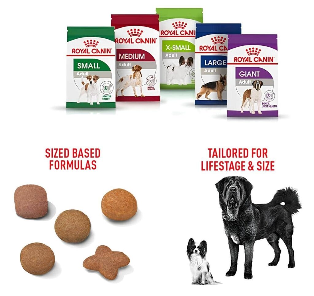 Royal Canin Beauty Dog Food for small and large dogs Royal Canin Beauty Dog Food for small and large dogs