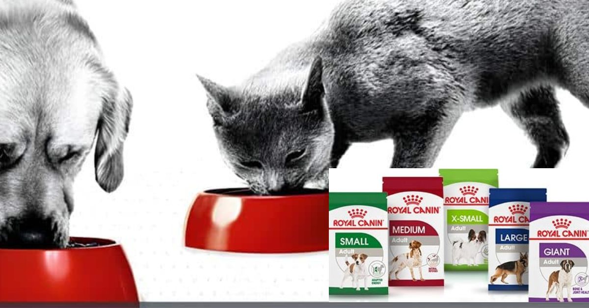 Royal Canin Beauty Dog Food
