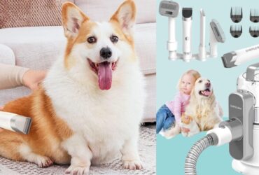 Simple Way Pet Grooming Vacuum 6 in 1