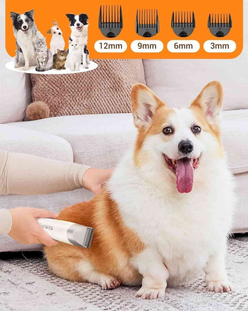 Simple way pet grooming vacuum 6 in 1 Types Of Pets Suited For Grooming Vacuums Simple way pet grooming vacuum 6 in 1 Types Of Pets Suited For Grooming Vacuums