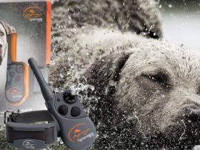 SportDOG E Collar FieldTrainer 425XS