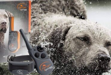 SportDOG E Collar FieldTrainer 425XS
