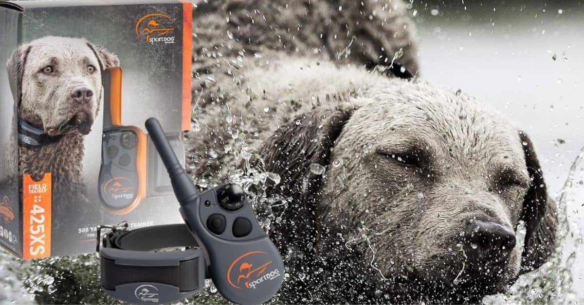 SportDOG E Collar FieldTrainer 425XS