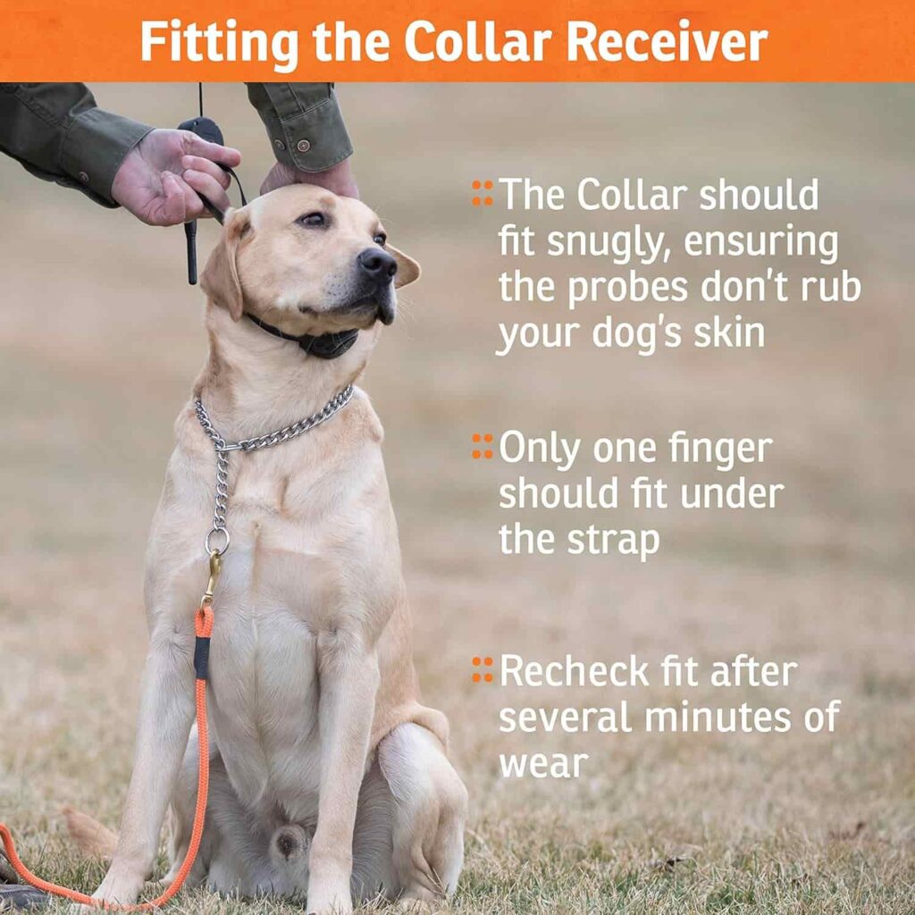 Sportdog E Collar Fieldtrainer fitting safety