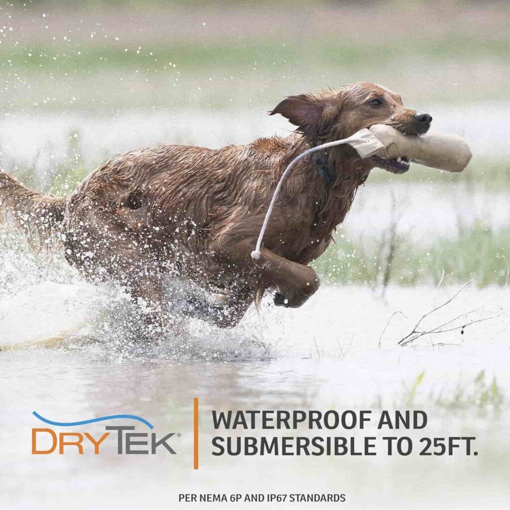 Sportdog E Collar Fieldtrainer, Simple Controls Sportdog E Collar Fieldtrainer waterproof option