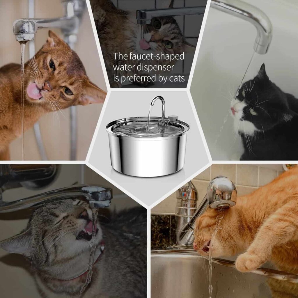 Tomxcute Cat Water Fountain Veterinarian Insights Tomxcute Cat Water Fountain Veterinarian Insights