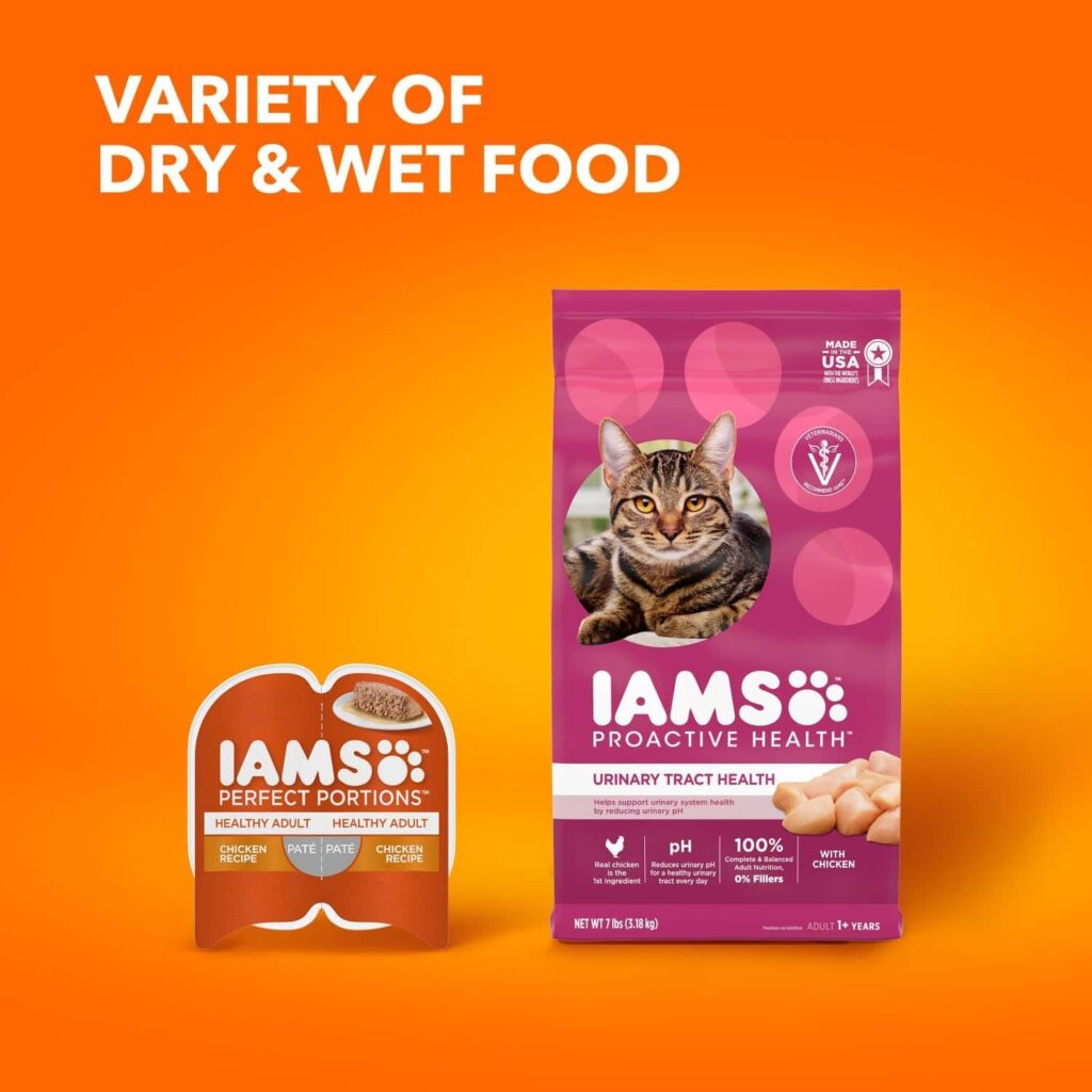 Variety of dry and wet food Variety of dry and wet food