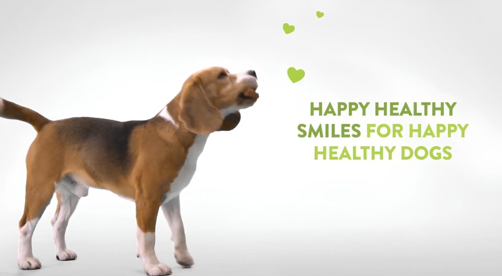 Whimzee Dental Chew 24 Count happy smile Whimzee Dental Chew 24 Count happy smile