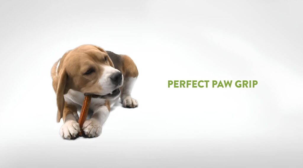 Whimzee Dental Chew 24 Count perfect paw grip Whimzee Dental Chew 24 Count, perfect paw grip