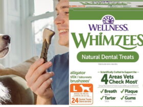Whimzee Dental Chew