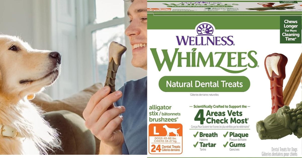 Whimzee Dental Chew