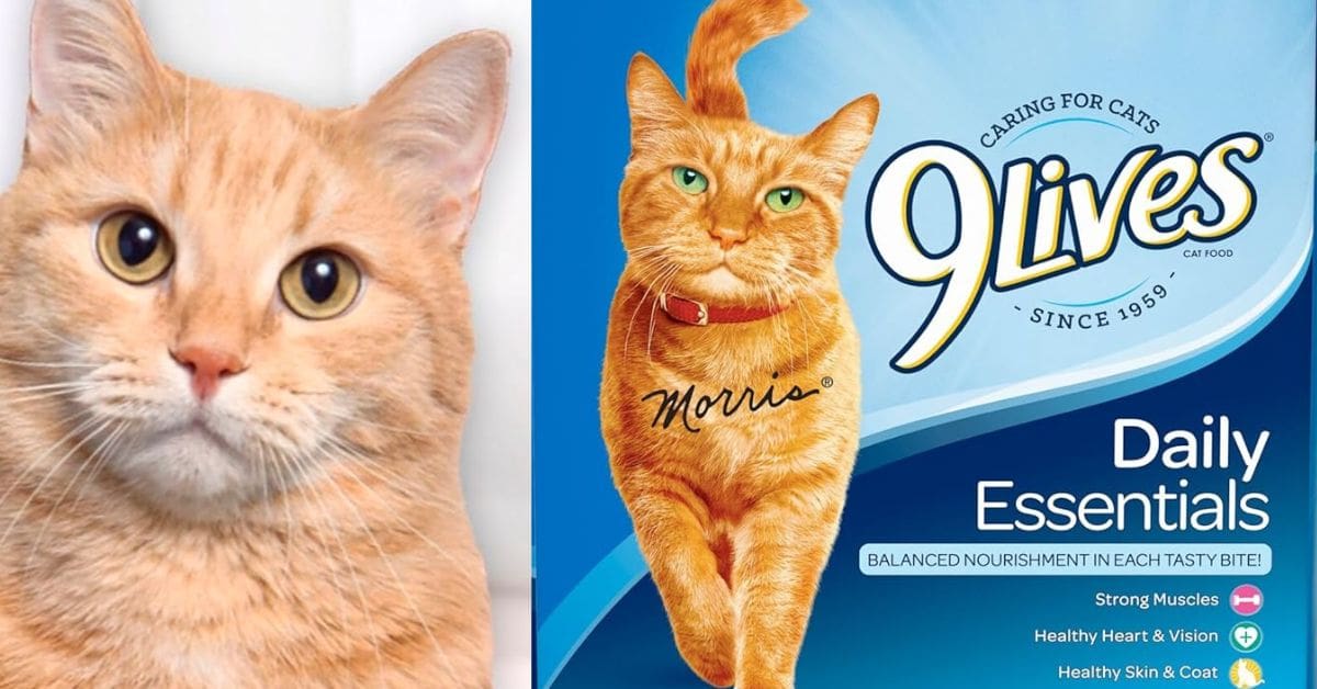 9Lives Daily Essentials cat food