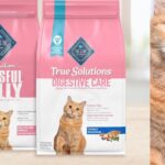 Blissful Belly Cat Food