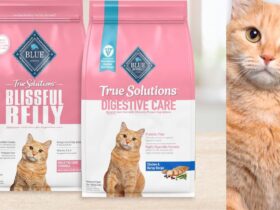 Blissful Belly Cat Food