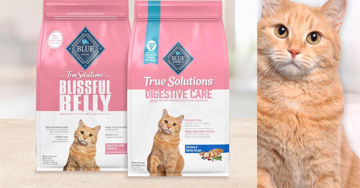 Blissful Belly Cat Food