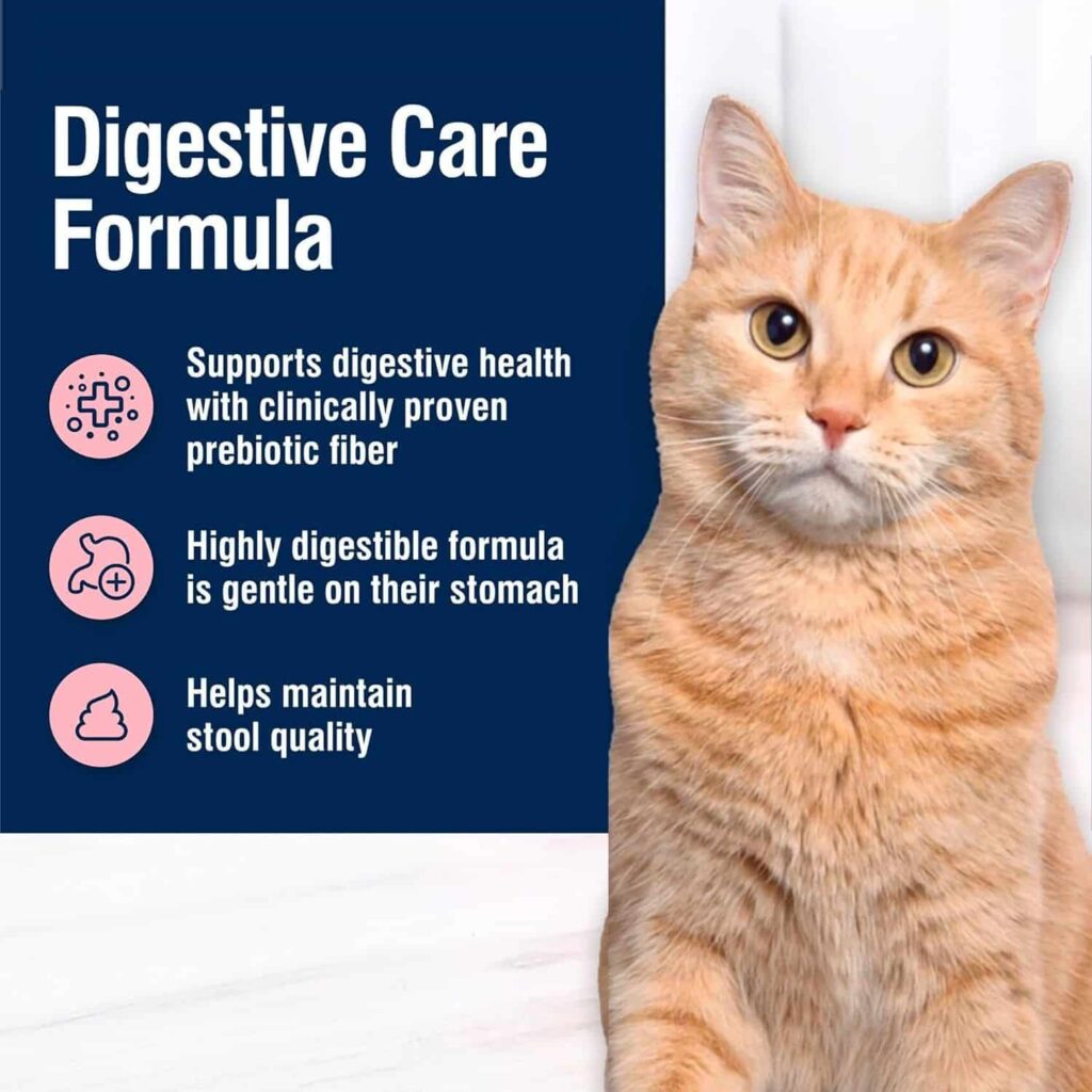 Blissful Belly Cat Food Nutritional Benefits Blissful Belly Cat Food Nutritional Benefits