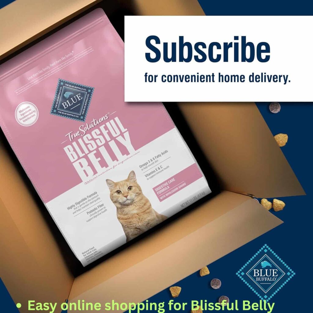 Blissful Belly Cat Food Online Options Blissful Belly Cat Food Online Options