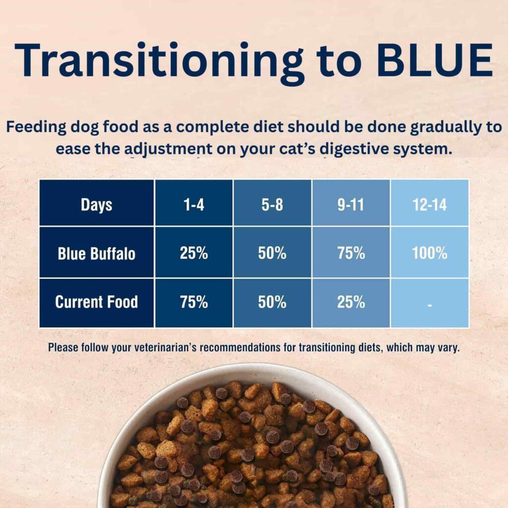 Blissful Belly Cat Food Transitioning to BLUE Blissful Belly Cat Food Transitioning to BLUE