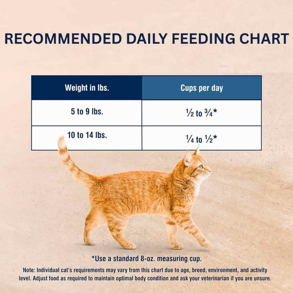 Blissful Belly Cat Food, daily Feeding Guidelines Blissful Belly Cat Food, daily Feeding Guidelines