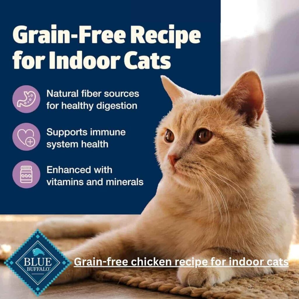 Blue Buffalo Freedom Grain Free Chicken Benefits Of Grain-free Diet Blue Buffalo Freedom Grain Free Chicken Benefits Of Grain-free Diet