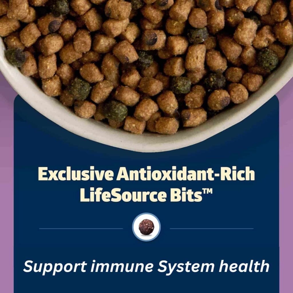 Blue Buffalo Freedom Grain Free Chicken supports immune health Blue Buffalo Freedom Grain Free Chicken supports immune health
