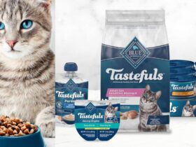 Blue Buffalo Tastefuls Sensitive Stomach Cat Food