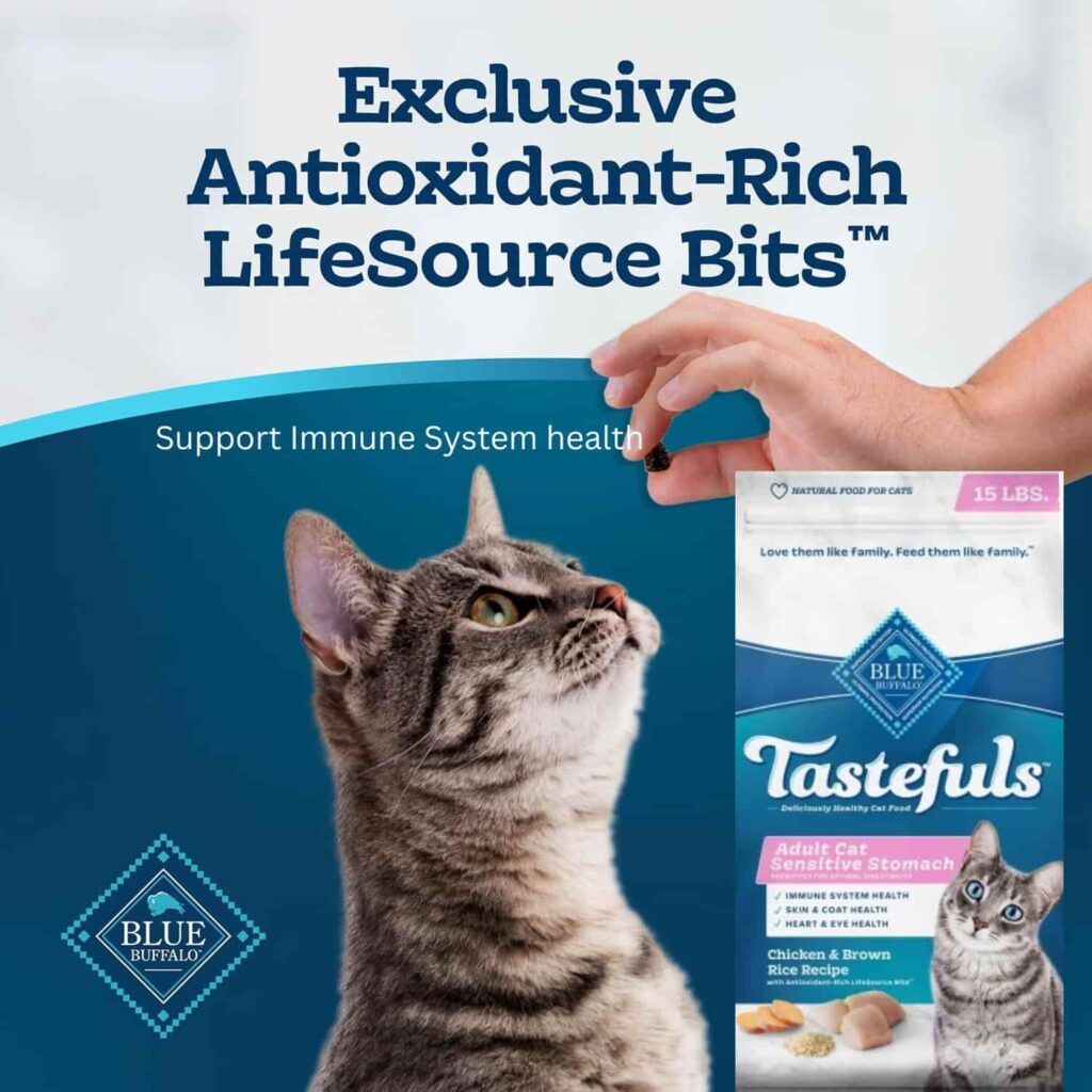 Blue Buffalo Tastefuls Sensitive Stomach Cat Food immune health Blue Buffalo Tastefuls Sensitive Stomach Cat Food immune health