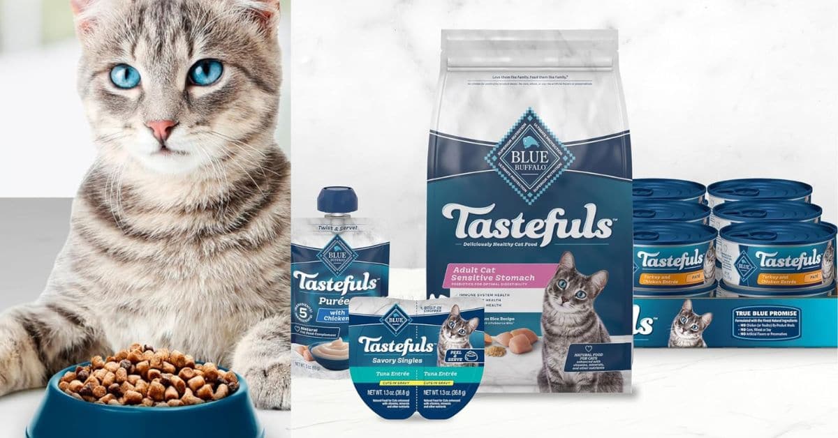 Blue Buffalo Tastefuls Sensitive Stomach Cat Food