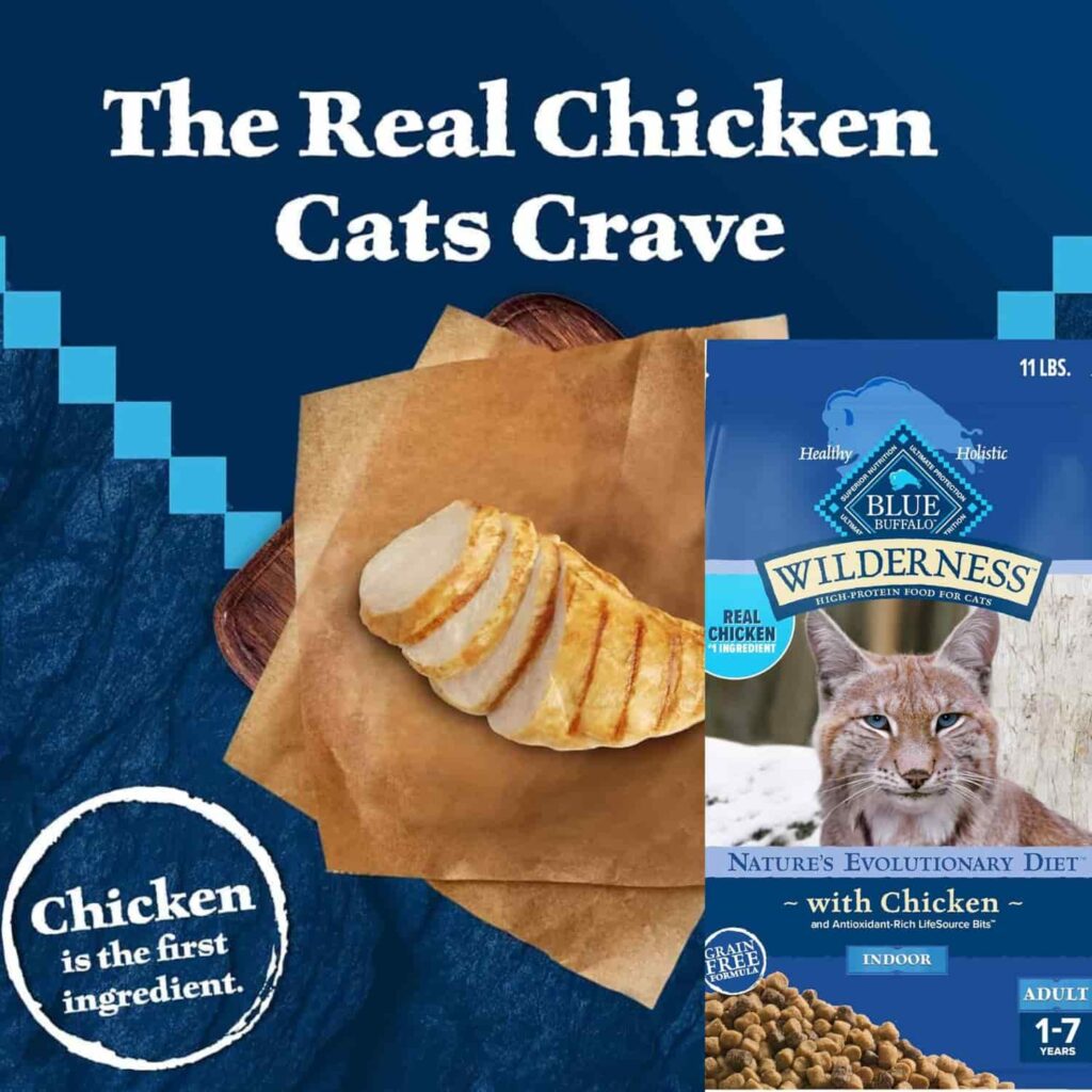 Blue Wilderness Dry Cat Food 11-lb real chicken Key Ingredients Blue Wilderness Dry Cat Food 11-lb real chicken Key Ingredients