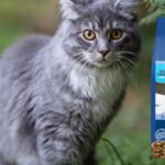 Blue Wilderness Dry Cat Food