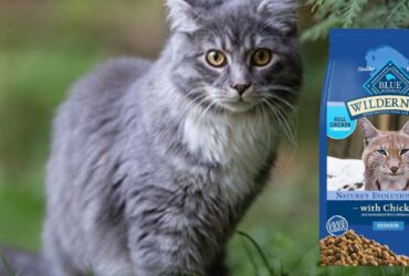 Blue Wilderness Dry Cat Food