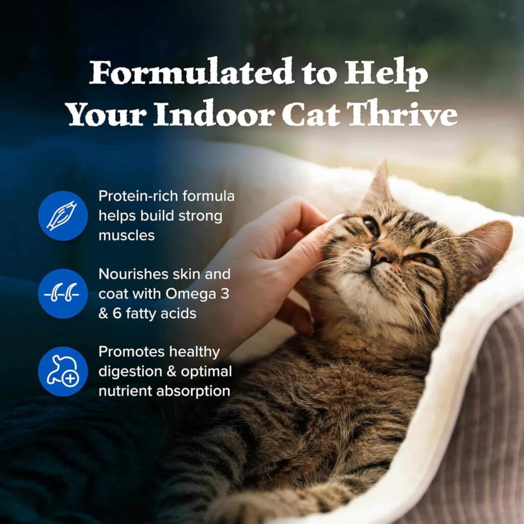 Blue Wilderness Dry Cat Food Nutritional Benefits Blue Wilderness Dry Cat Food Nutritional Benefits
