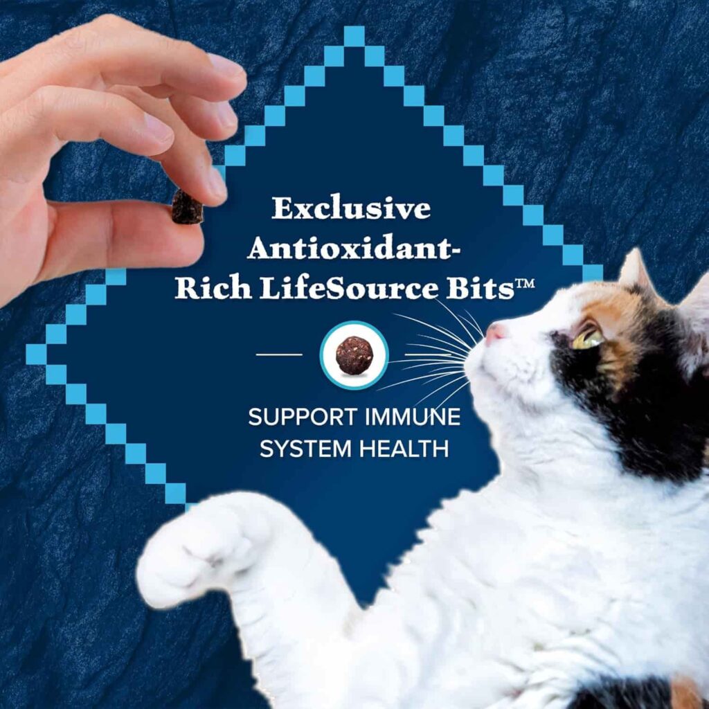 Blue Wilderness Dry Cat Food support immune health Blue Wilderness Dry Cat Food support immune health