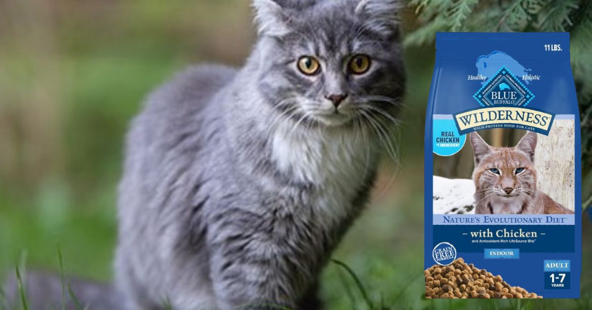 Blue Wilderness Dry Cat Food