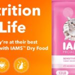 IAMS Proactive Health