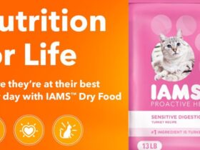 IAMS Proactive Health