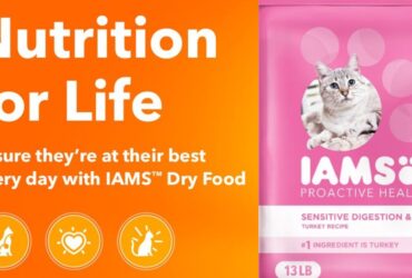IAMS Proactive Health