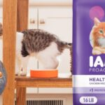 IAMS Proactive Health Healthy Kitten