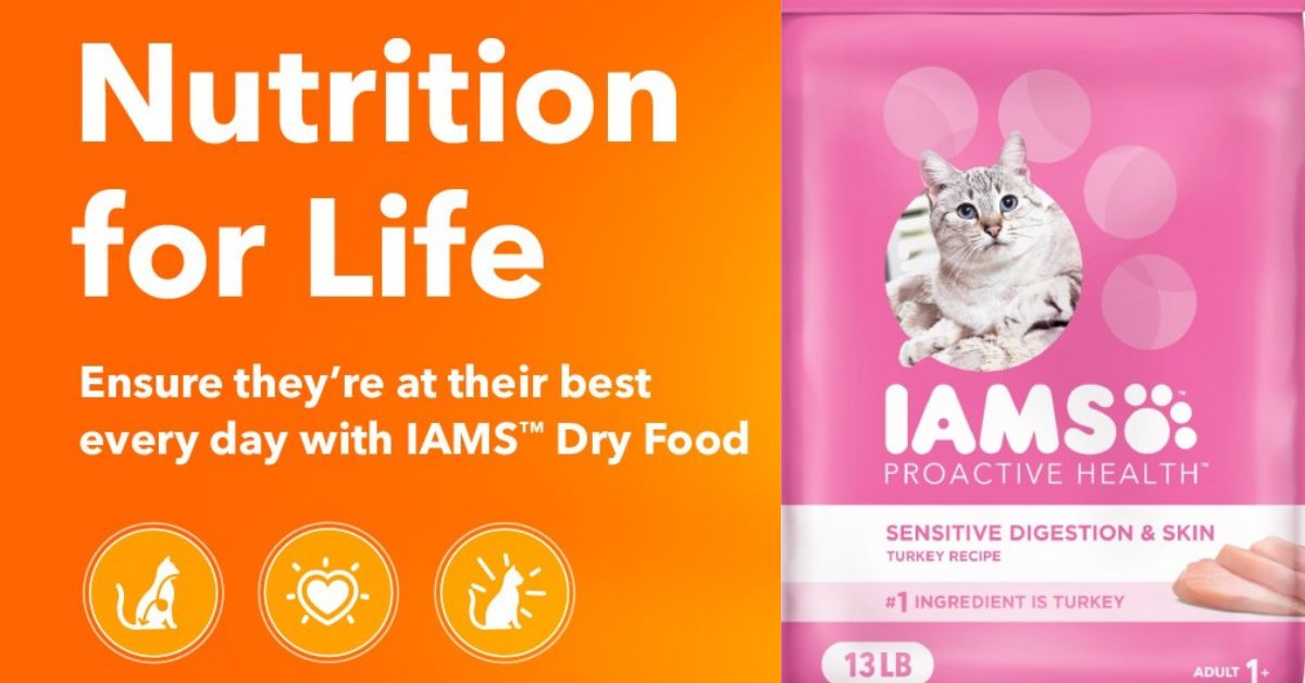 IAMS Proactive Health