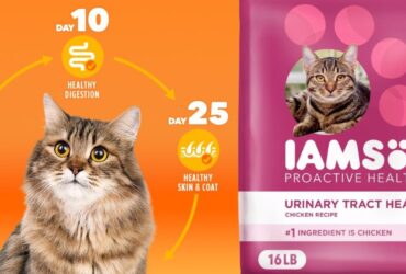 IAMS Urinary Cat Food