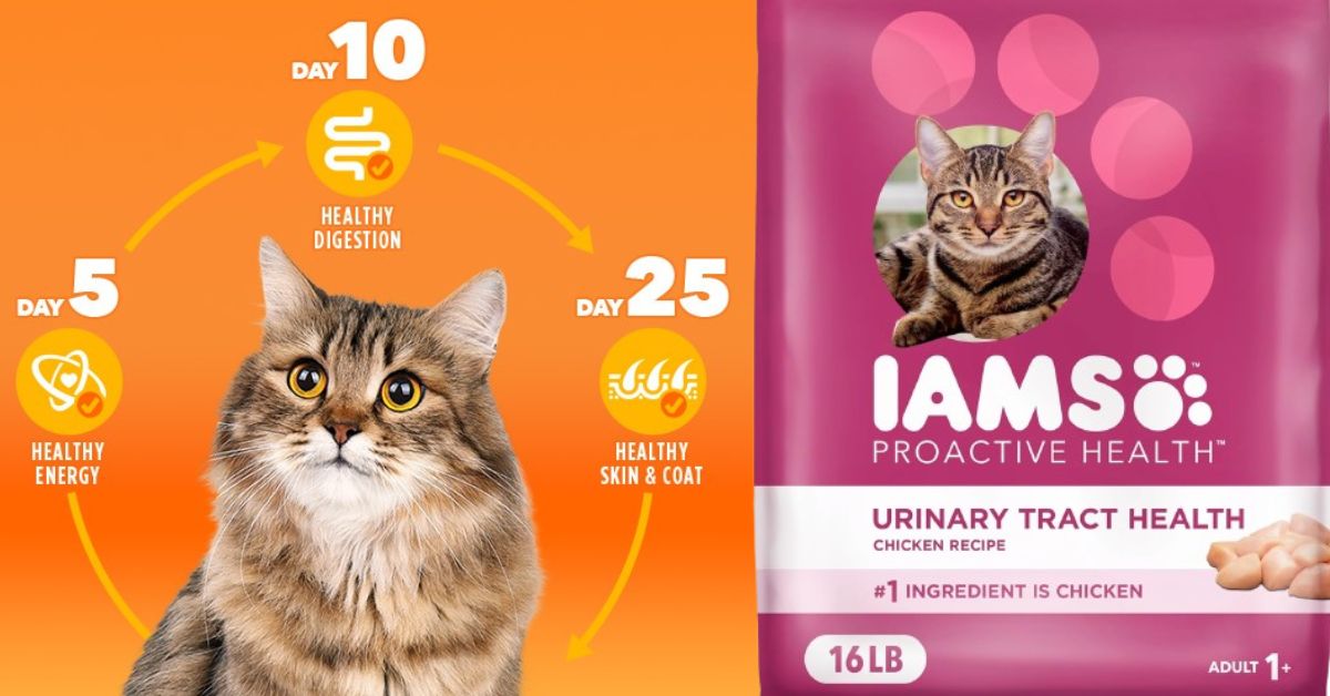 IAMS Urinary Cat Food