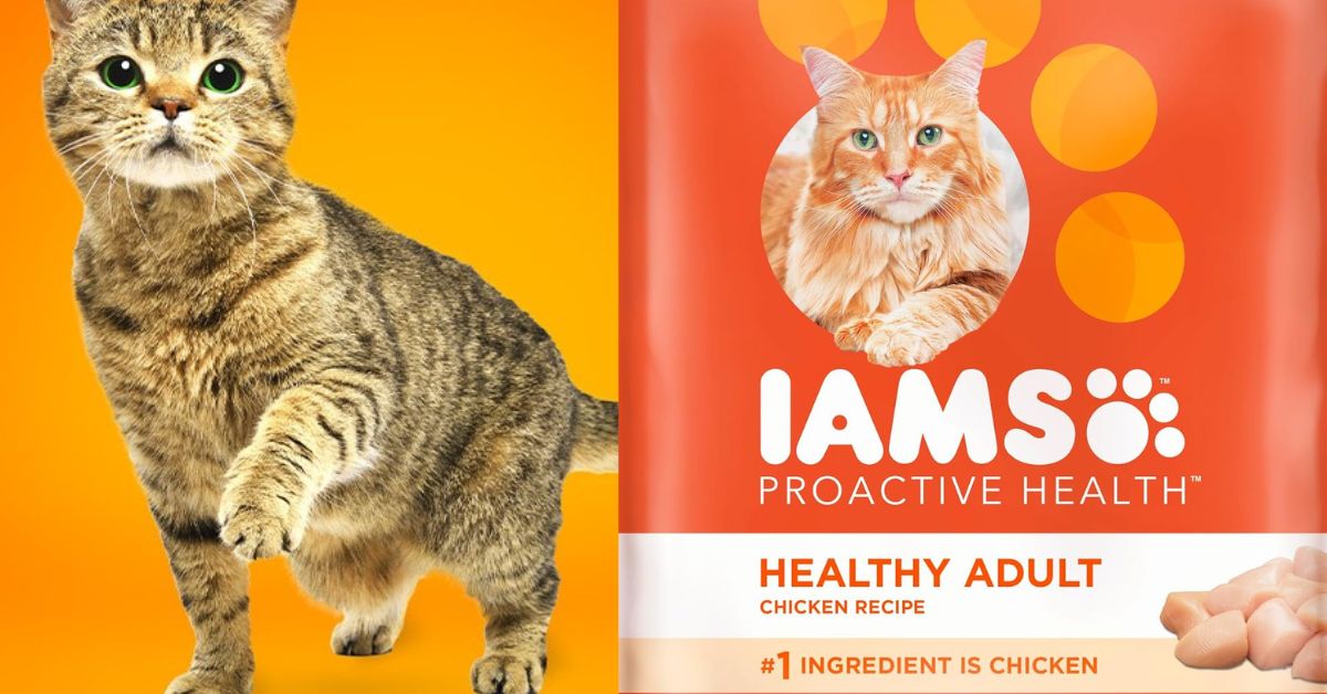 Iams Proactive Health Cat Food