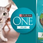 Purina One Indoor Advantage