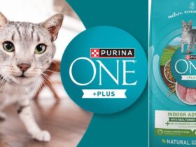 Purina One Indoor Advantage