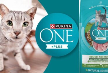 Purina One Indoor Advantage