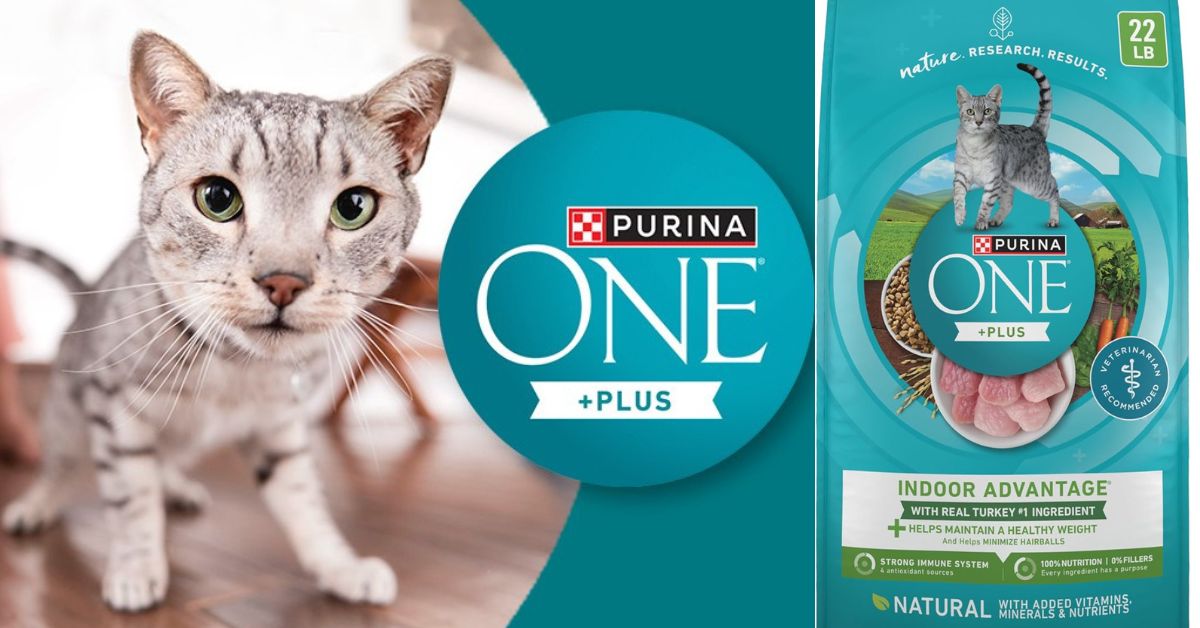 Purina One Indoor Advantage