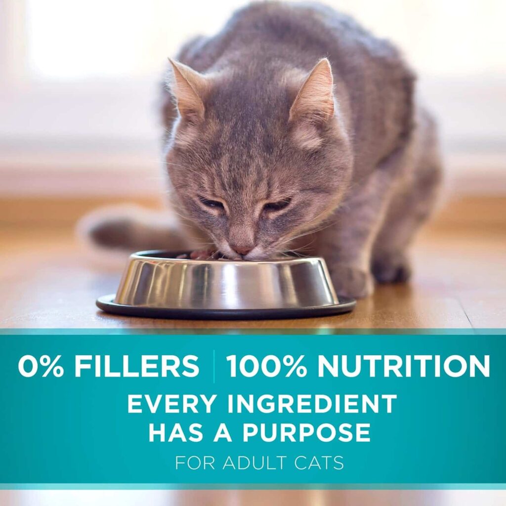 Purina One Tender Selects Chicken 22 Lb cat food